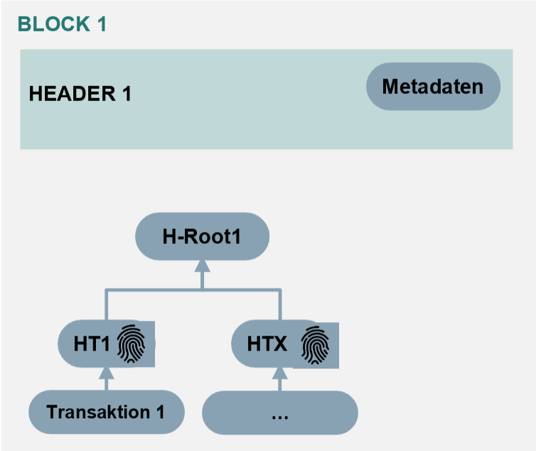 images/DatenstrukturEinerBlockchain/Datenstruktur einer Blockchain3.png